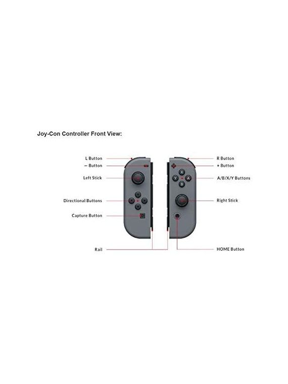 Nintendo Joy-Con