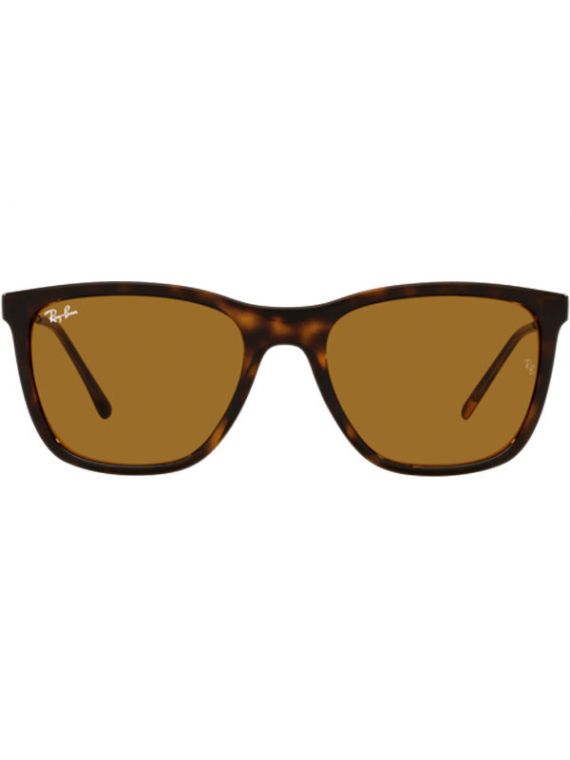 RayBan Sunglass Havana Rectangle